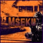 Mseku