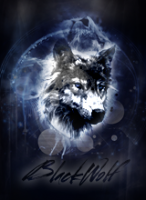 BlackWolf.thumb.png.18fdb889a76dd9d356ead45c07ba6e21.png