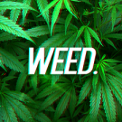 Weed..