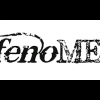 Fenomen